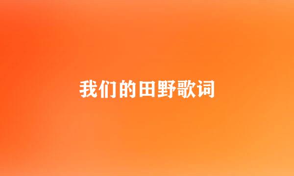 我们的田野歌词