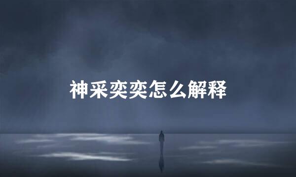神采奕奕怎么解释