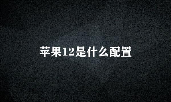 苹果12是什么配置