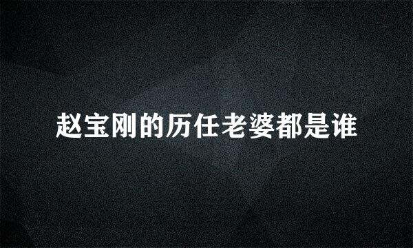 赵宝刚的历任老婆都是谁