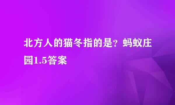 北方人的猫冬指的是？蚂蚁庄园1.5答案