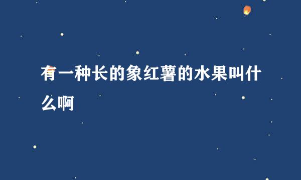 有一种长的象红薯的水果叫什么啊
