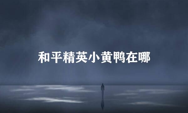 和平精英小黄鸭在哪
