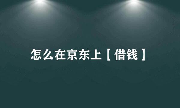 怎么在京东上【借钱】