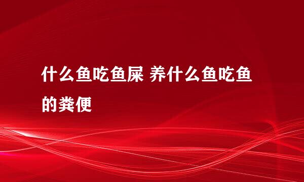 什么鱼吃鱼屎 养什么鱼吃鱼的粪便