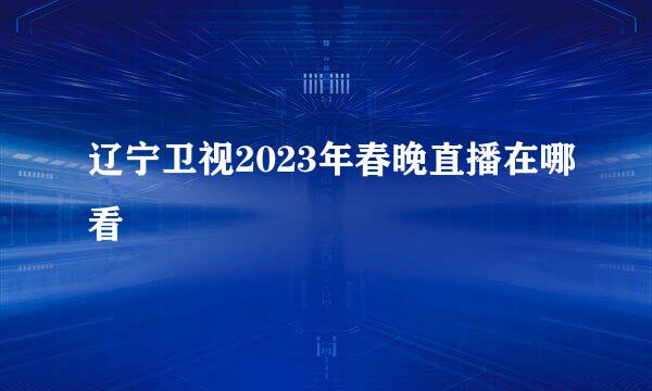 辽宁卫视2023年春晚直播在哪看