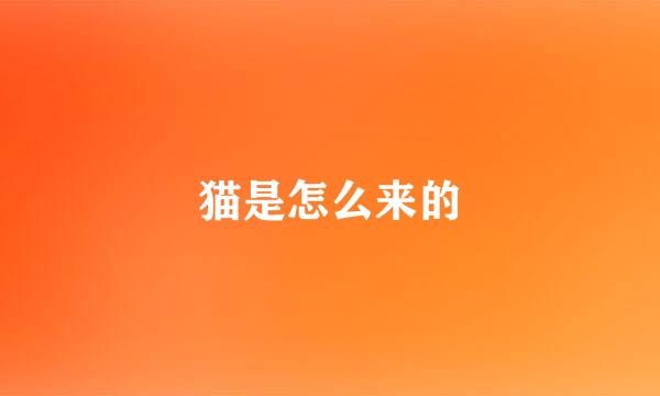 猫是怎么来的