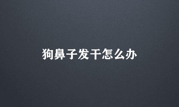 狗鼻子发干怎么办