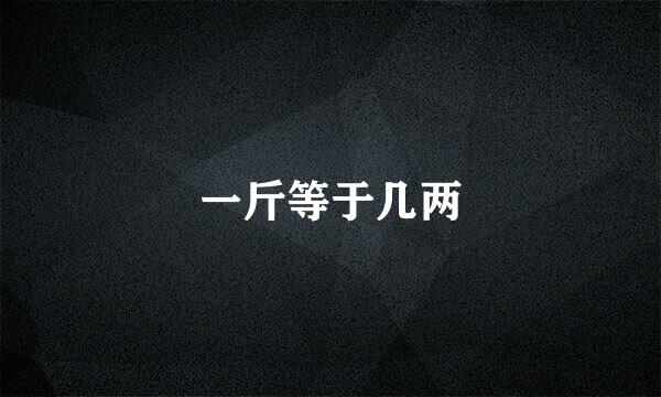 一斤等于几两