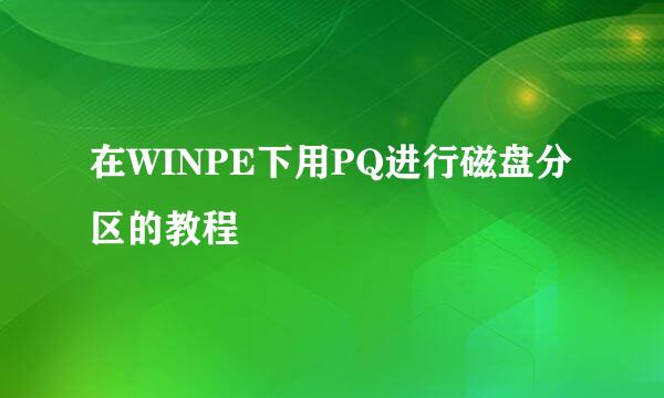 在WINPE下用PQ进行磁盘分区的教程