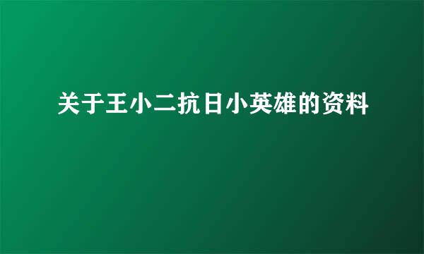 关于王小二抗日小英雄的资料