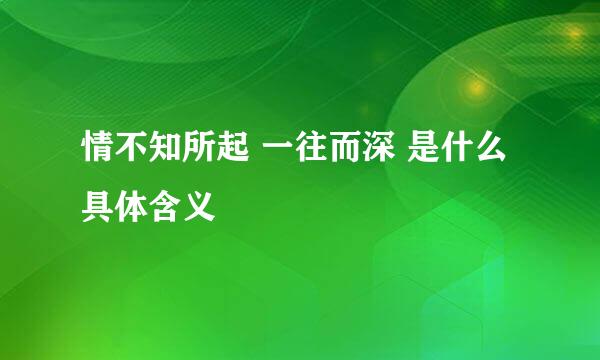 情不知所起 一往而深 是什么具体含义