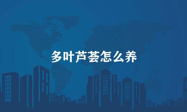 多叶芦荟怎么养