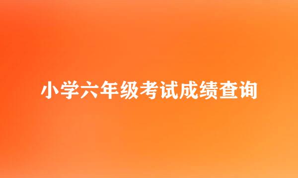 小学六年级考试成绩查询