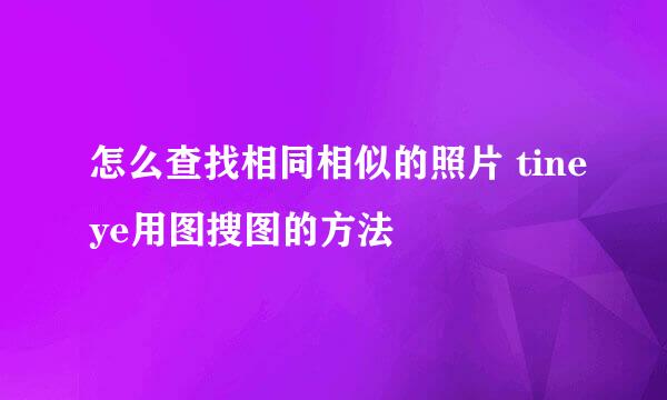 怎么查找相同相似的照片 tineye用图搜图的方法