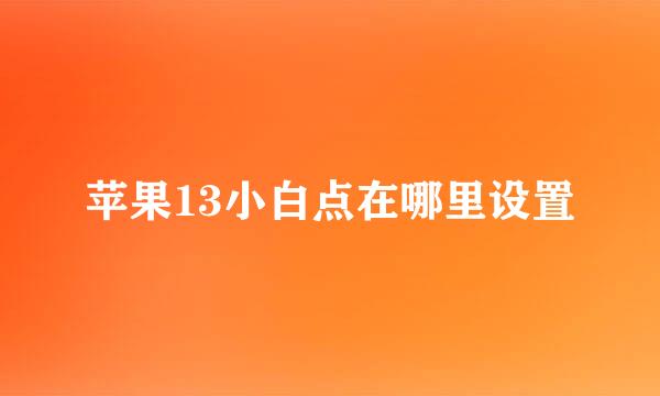 苹果13小白点在哪里设置