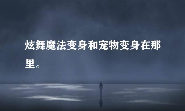 炫舞魔法变身和宠物变身在那里。