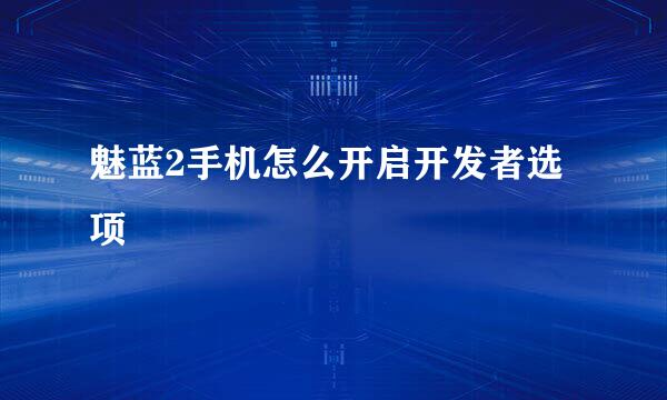 魅蓝2手机怎么开启开发者选项