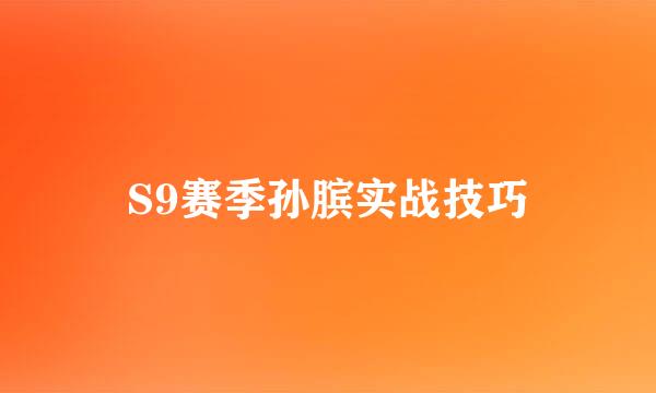 S9赛季孙膑实战技巧