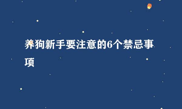 养狗新手要注意的6个禁忌事项
