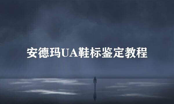 安德玛UA鞋标鉴定教程