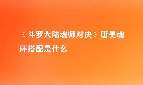 《斗罗大陆魂师对决》唐昊魂环搭配是什么