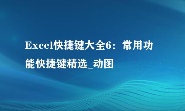 Excel快捷键大全6：常用功能快捷键精选_动图