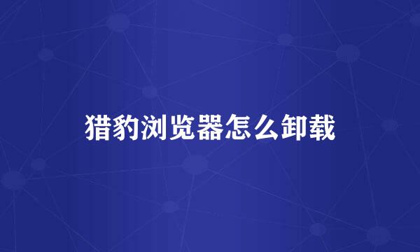 猎豹浏览器怎么卸载