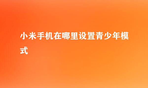小米手机在哪里设置青少年模式