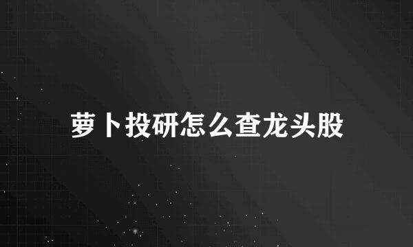 萝卜投研怎么查龙头股