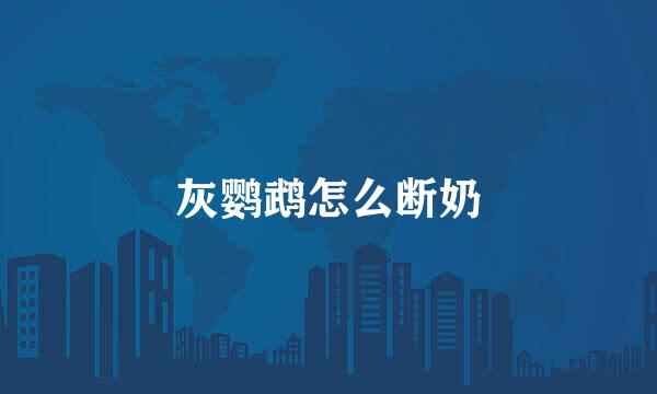 灰鹦鹉怎么断奶