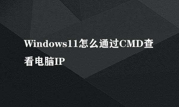 Windows11怎么通过CMD查看电脑IP