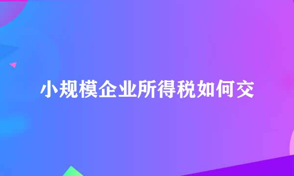 小规模企业所得税如何交