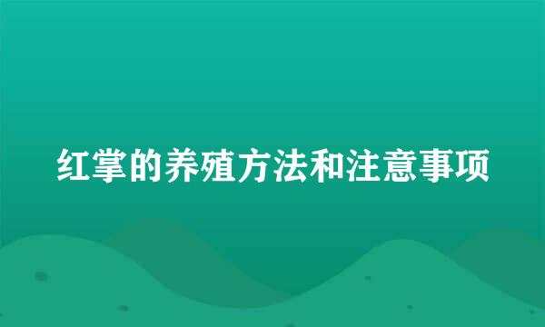 红掌的养殖方法和注意事项
