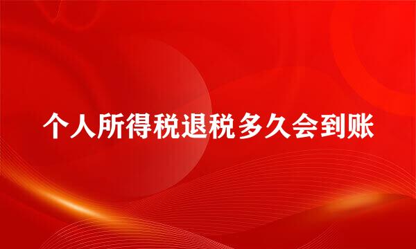 个人所得税退税多久会到账