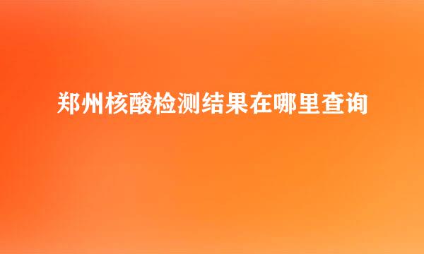郑州核酸检测结果在哪里查询