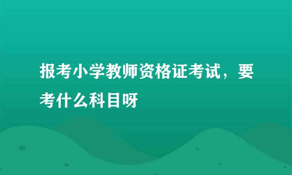 报考小学教师资格证考试，要考什么科目呀