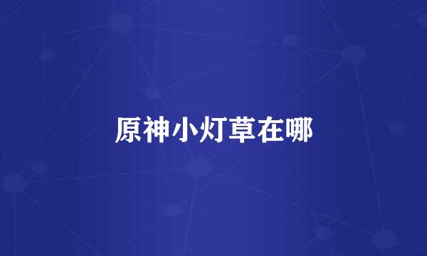 原神小灯草在哪