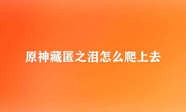 原神藏匿之泪怎么爬上去