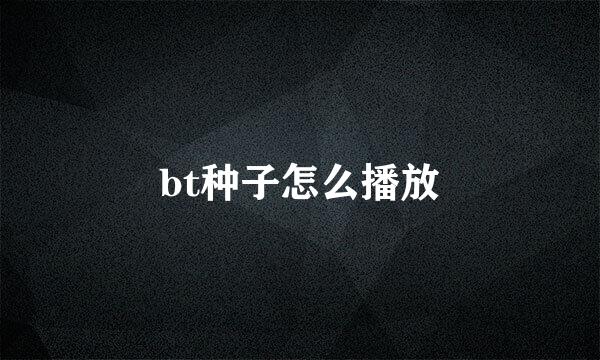 bt种子怎么播放