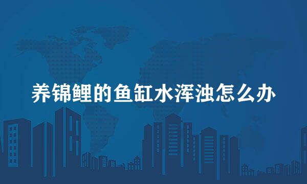 养锦鲤的鱼缸水浑浊怎么办
