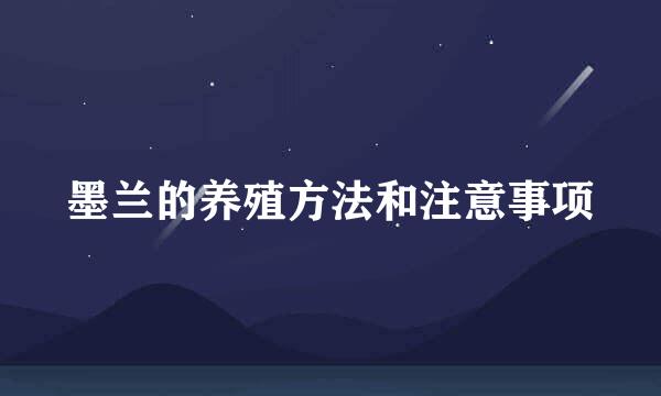 墨兰的养殖方法和注意事项