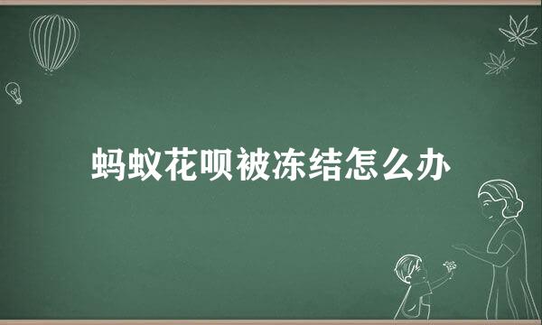 蚂蚁花呗被冻结怎么办
