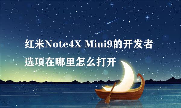 红米Note4X Miui9的开发者选项在哪里怎么打开