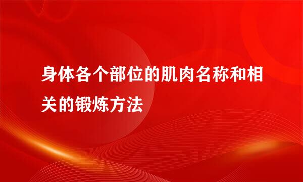 身体各个部位的肌肉名称和相关的锻炼方法