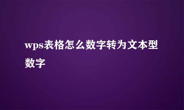 wps表格怎么数字转为文本型数字