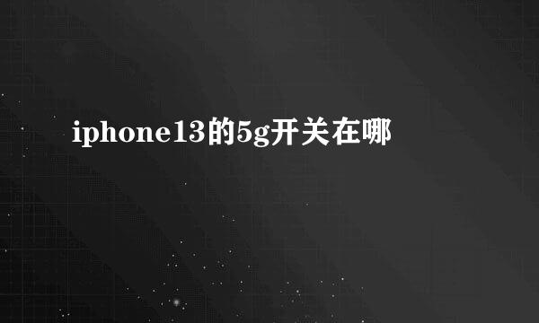 iphone13的5g开关在哪