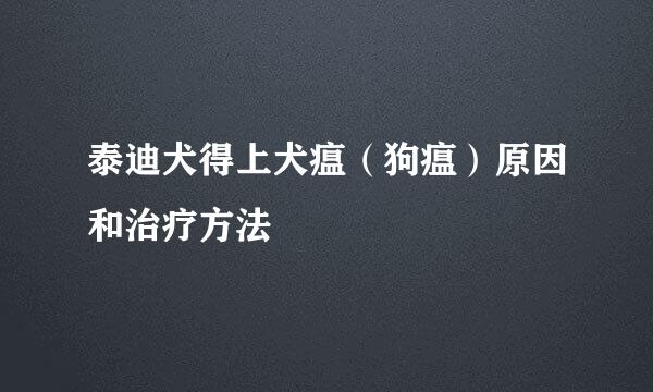 泰迪犬得上犬瘟（狗瘟）原因和治疗方法