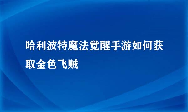 哈利波特魔法觉醒手游如何获取金色飞贼