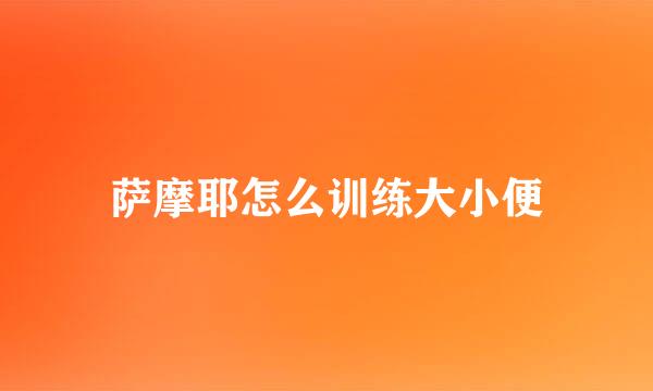 萨摩耶怎么训练大小便